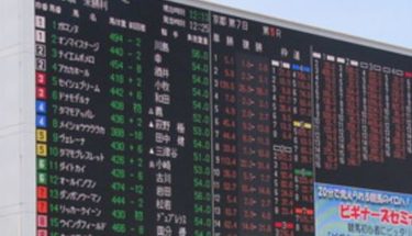 オッズに何を思う