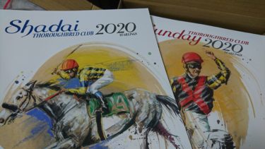 社台系ドラフト（2019産）